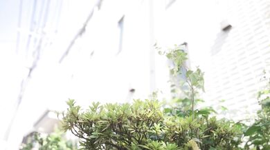 (HD1080P)(REAL)(real00837)今からこの一家全员レプします 四家族4时间スペシャル2